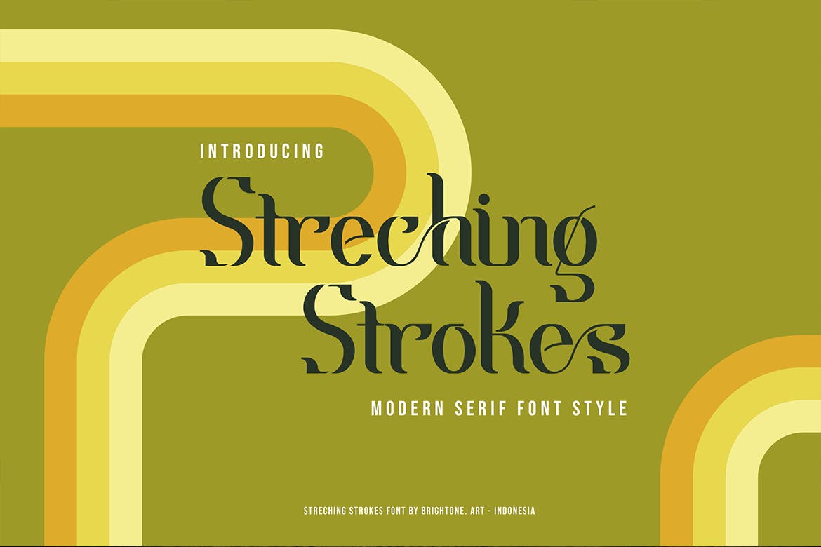 优雅复古品牌包装徽标logo设计衬线英文字体 Streching Strokes - Classic Style_img_2