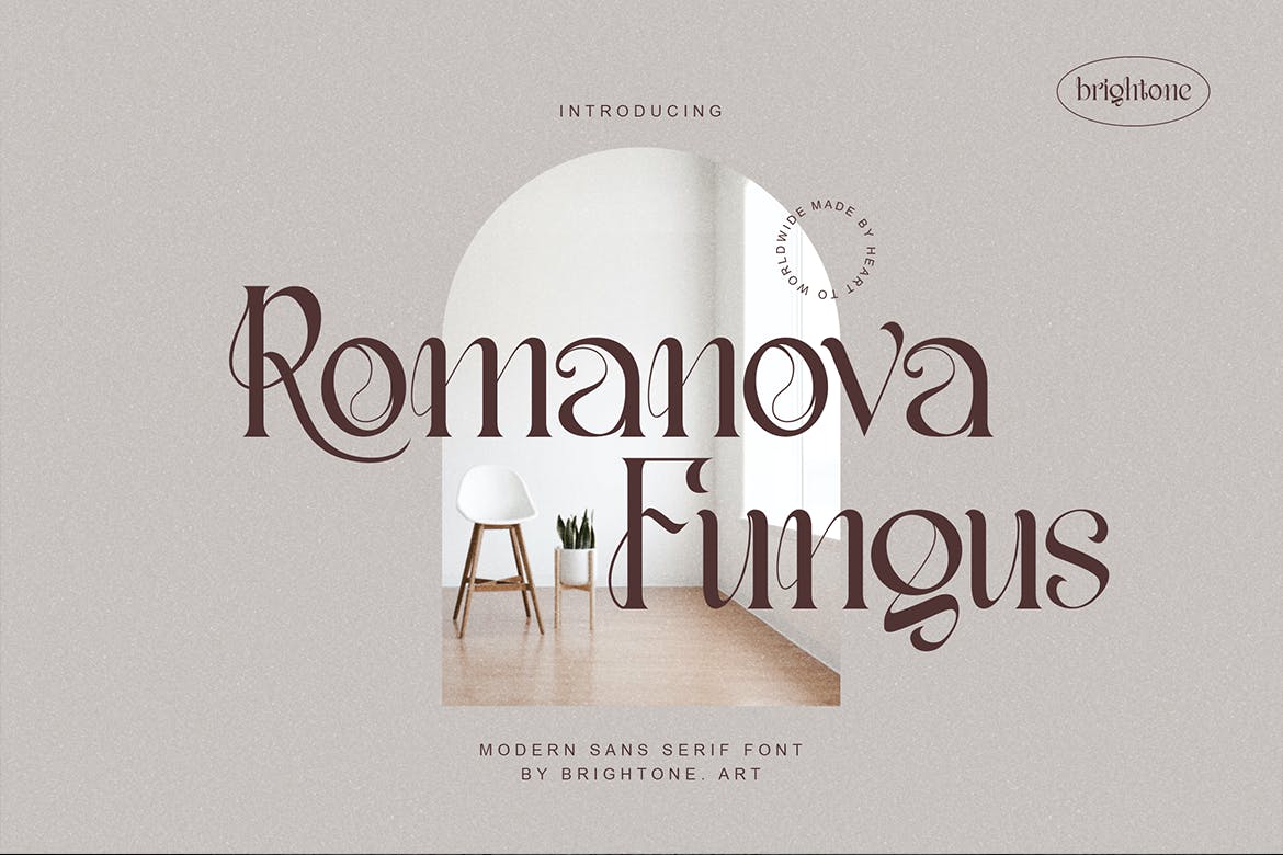 现代品牌包装徽标logo设计衬线英文字体 Romanova Fungus - Stylish_img_2