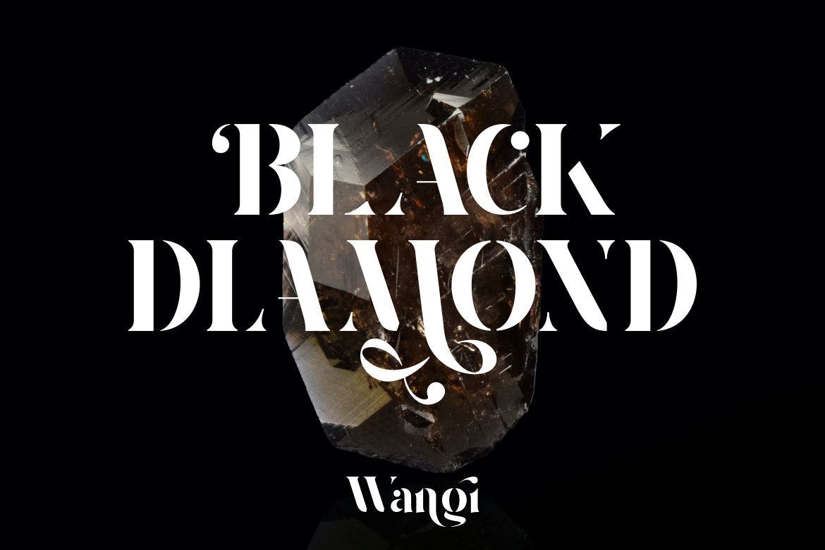 时尚杂志包装标志设计无衬线英文字体 Wangi_img_2
