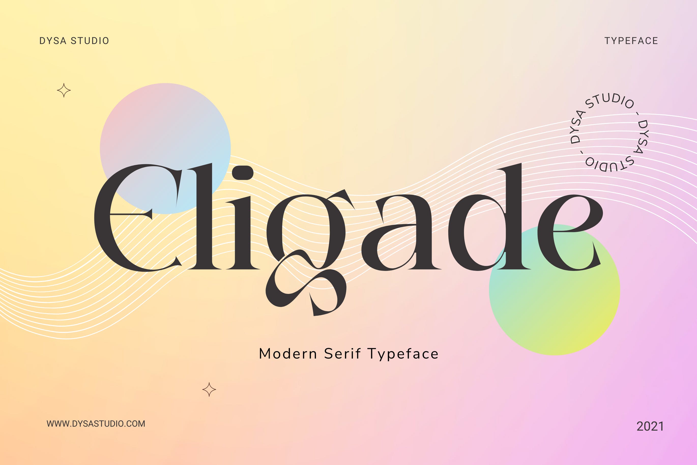 现代复古品牌海报徽标logo设计衬线英文字体 Eligade_img_2