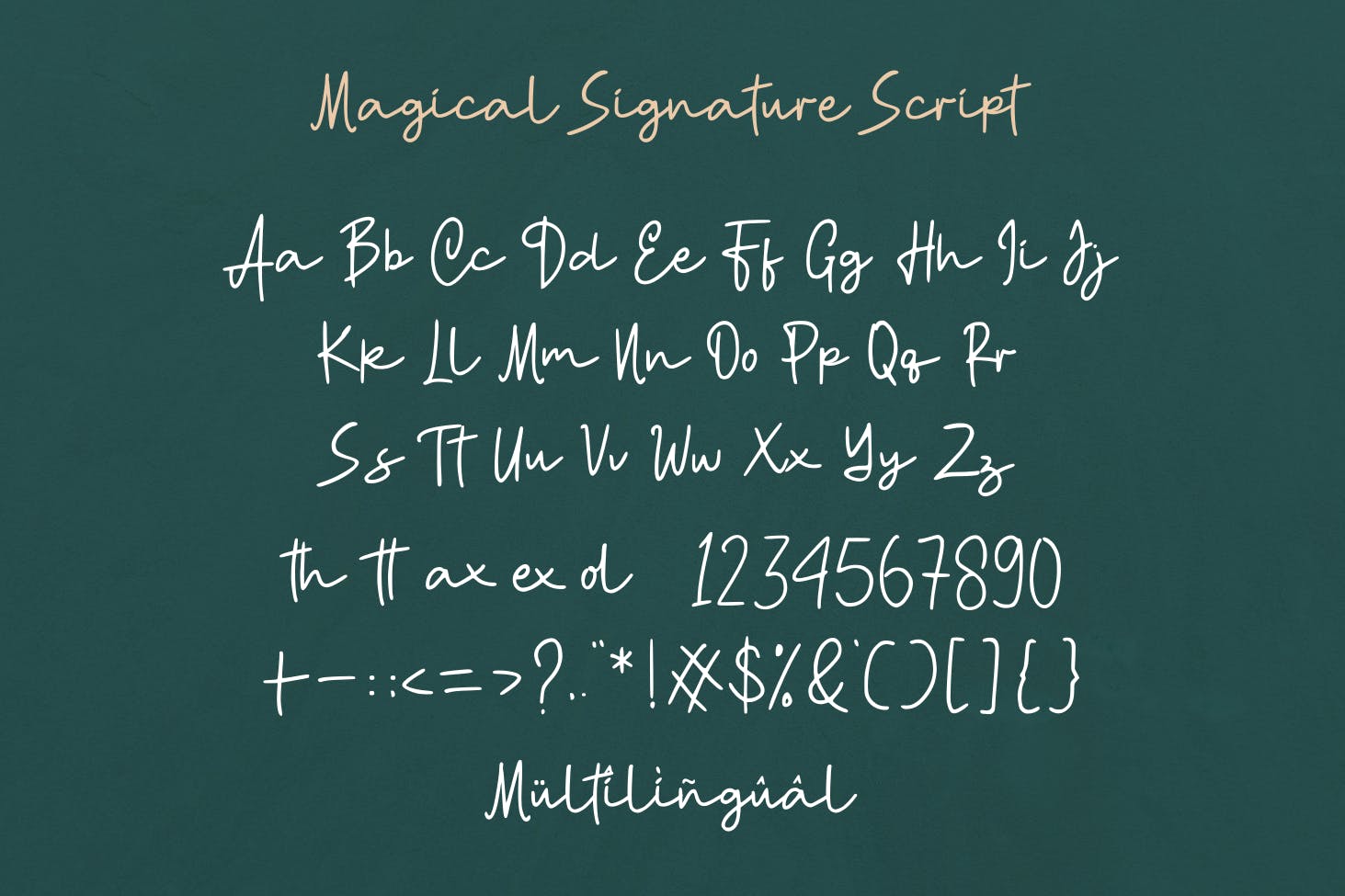 现代品牌广告书籍设计衬线英文字体 Magical Modern Font Duo_img_2