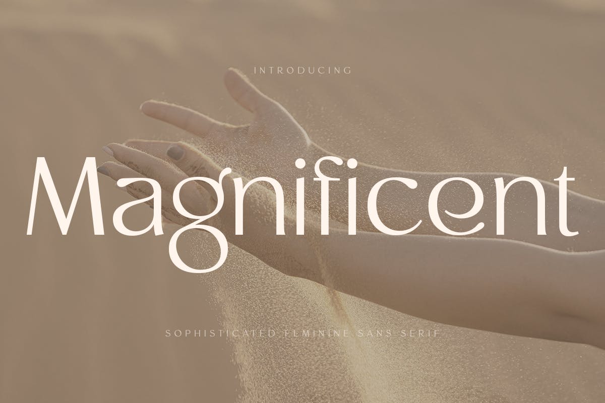 现代复古品牌婚礼徽标logo设计无衬线英文字体 Magnificent - Modern Feminine Vintage Font_img_2