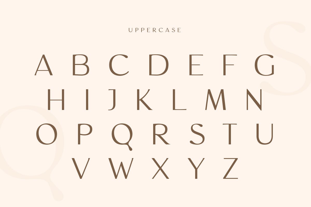 现代复古品牌婚礼徽标logo设计无衬线英文字体 Magnificent - Modern Feminine Vintage Font_img_2
