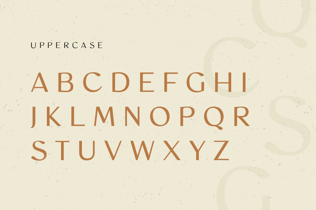 现代复古品牌海报标识设计衬线英文字体 Mosaic - Modern Vintage Font_img_2