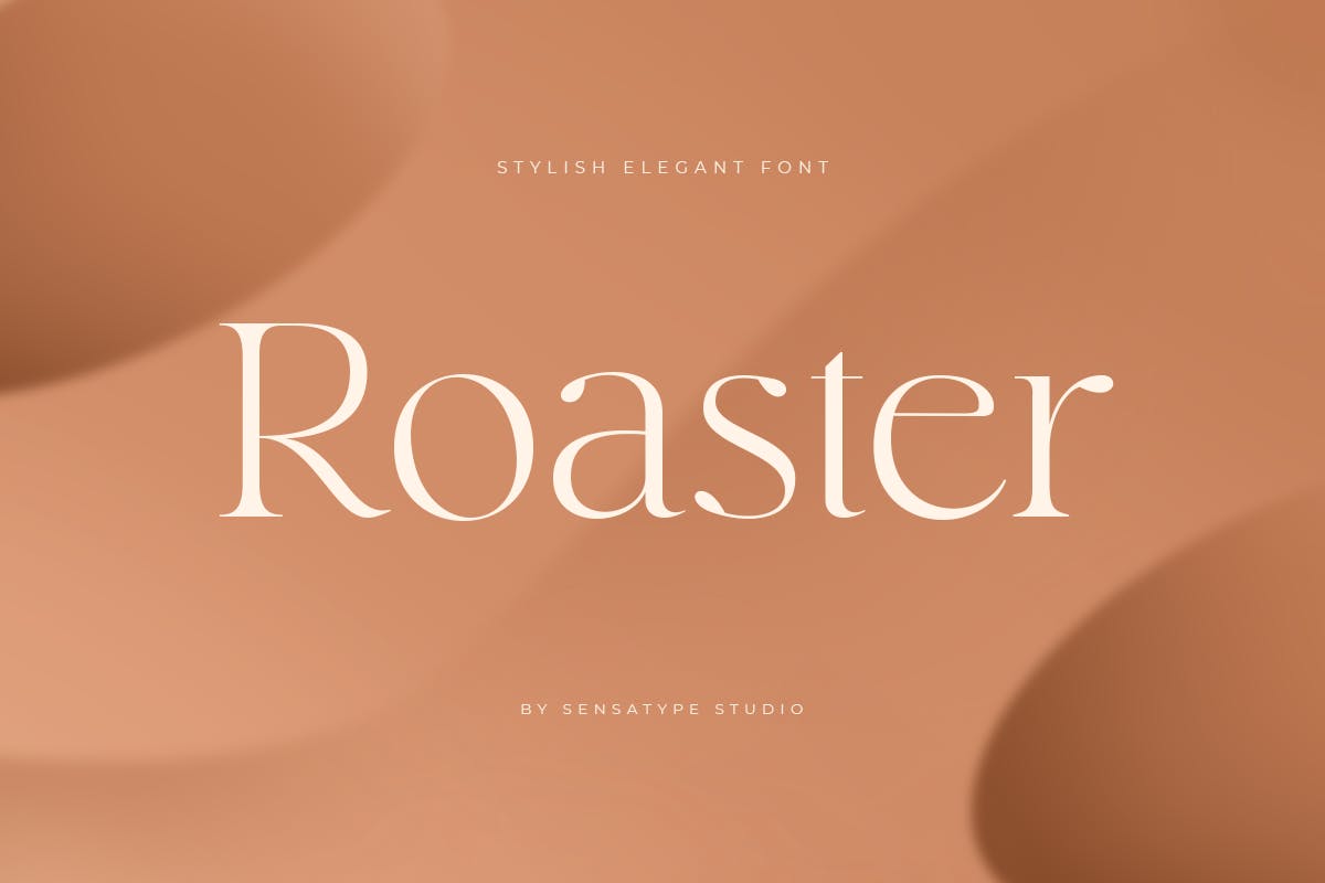 时尚优雅品牌标志杂志设计衬线英文字体 Roaster - Stylish Elegant Font_img_2