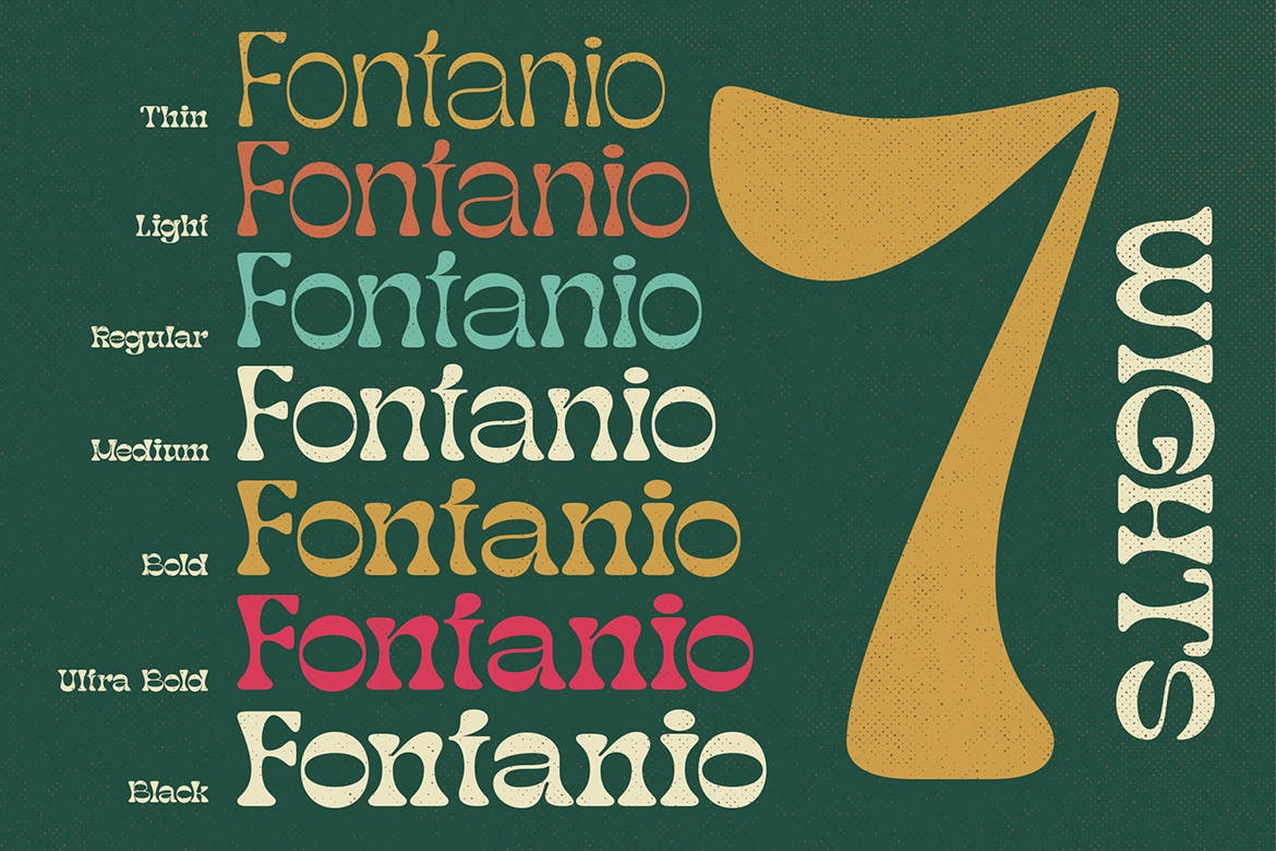 复古杂志海报徽标logo设计衬线英文字体 Fontanio_img_2