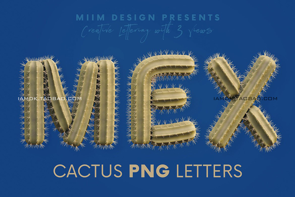 3D创意有趣沙漠仙人掌拼贴英文字母数字PNG免扣图片设计素材 Cactus - 3D Alphabet_img_2