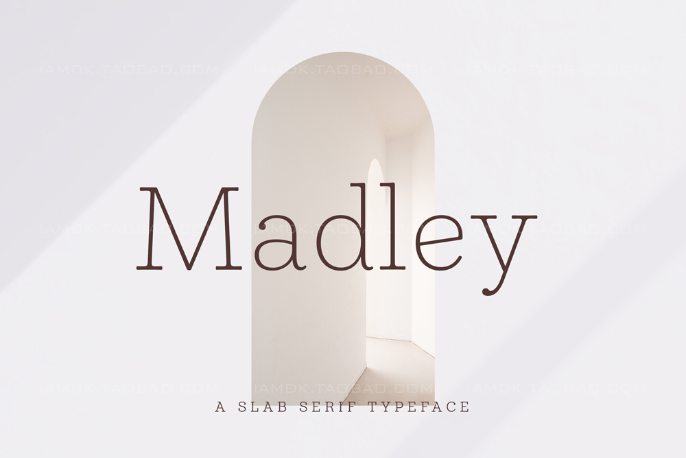 现代优雅英伦北欧时尚典雅优质衬线英文字体安装包Ps素材 Madley Font Family_img_2