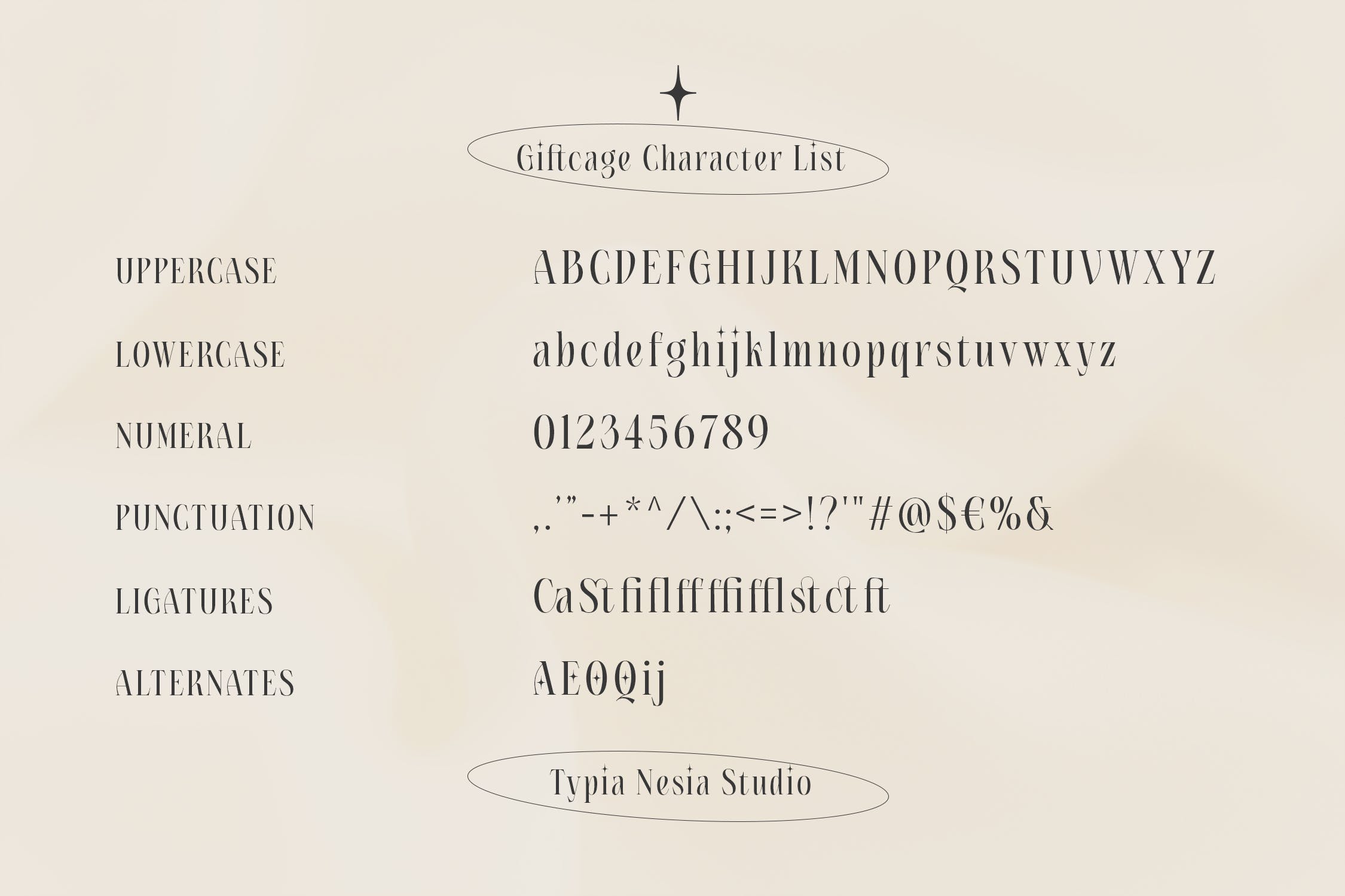 现代优雅杂志品牌标题设计衬线英文字体 Giftcage - Elegant Beauty Condensed Serif_img_2