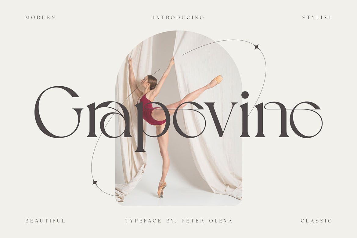 现代品牌标题徽标logo设计衬线英文字体 Grapevine - Modern Serif Font_img_2