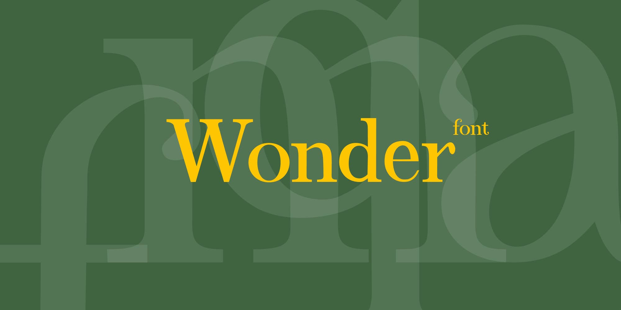 现代优雅杂志海报标识设计衬线英文字体 Wonder_img_2