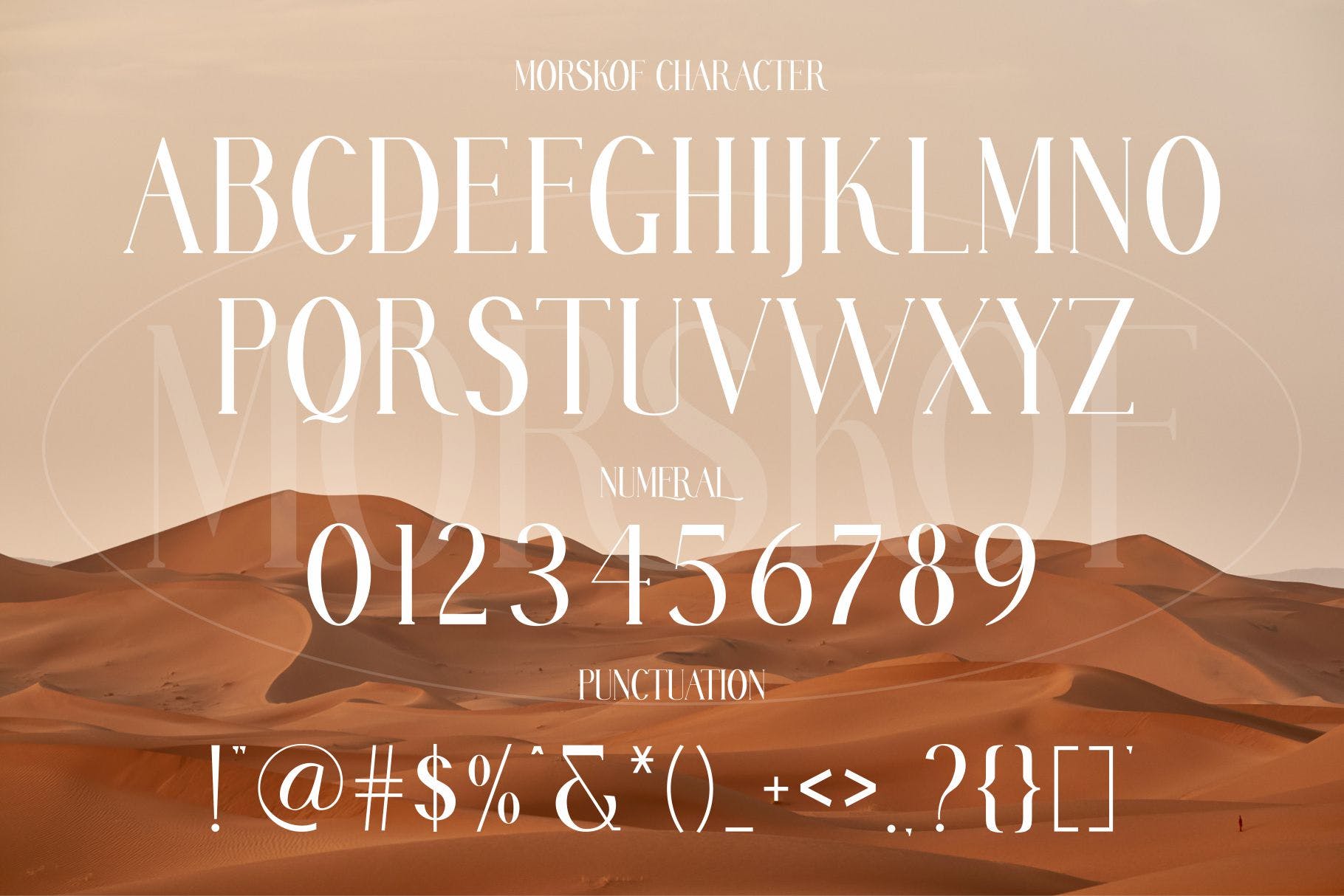 优雅杂志海报徽标logo设计衬线英文字体 MORSKOF Ligature Serif Typeface_img_2