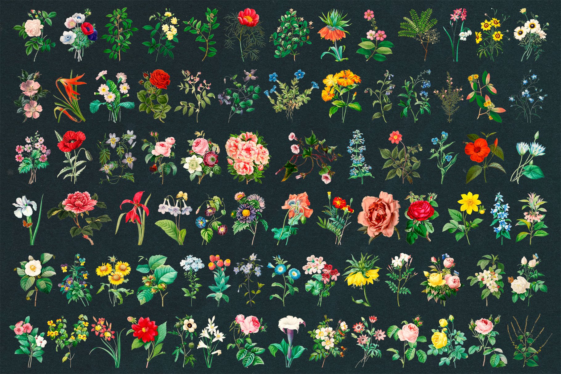 唯美复古玫瑰花手绘剪贴画PNG免扣图片设计素材 Aesthetic Vintage Flower Clipart_img_2