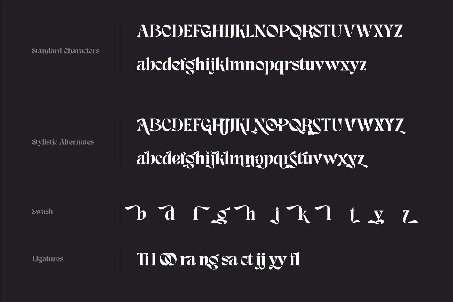 优雅杂志品牌标志设计衬线英文字体 Margic - Magic of Typeface_img_2