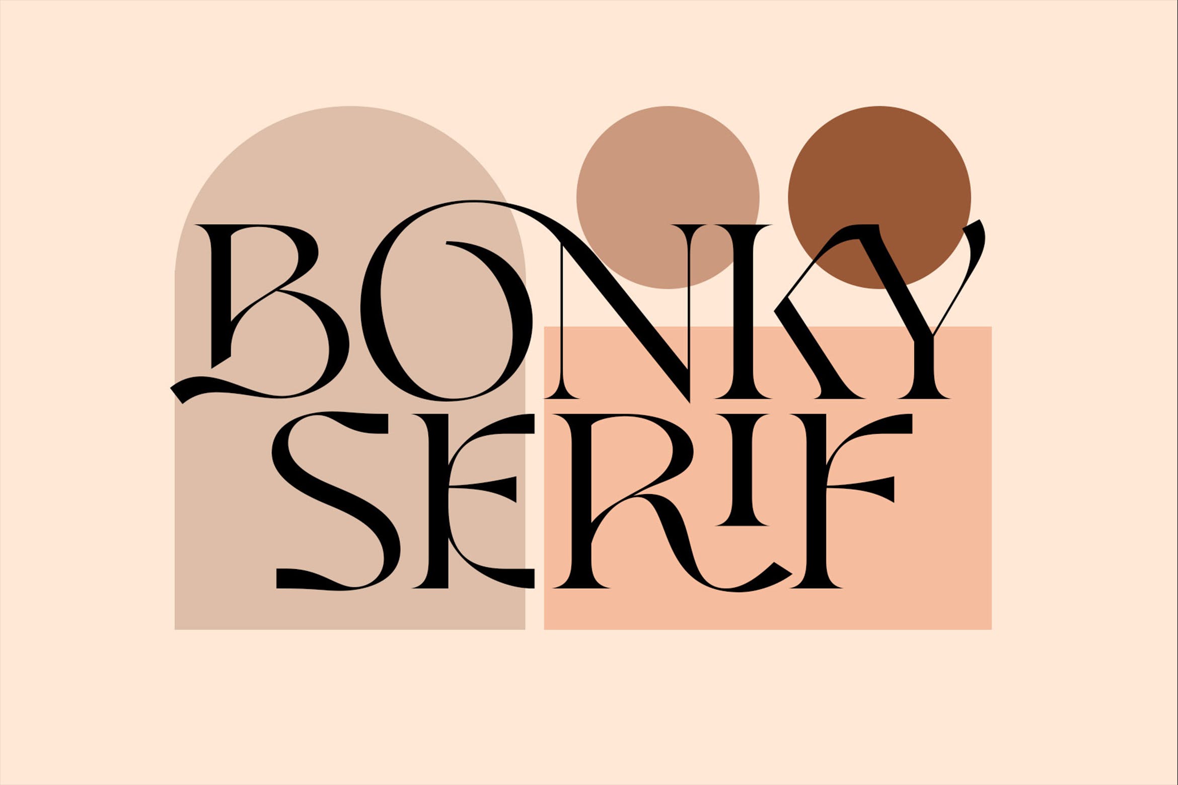 优雅品牌标题徽标logo设计衬线英文字体 Bonky serif_img_2