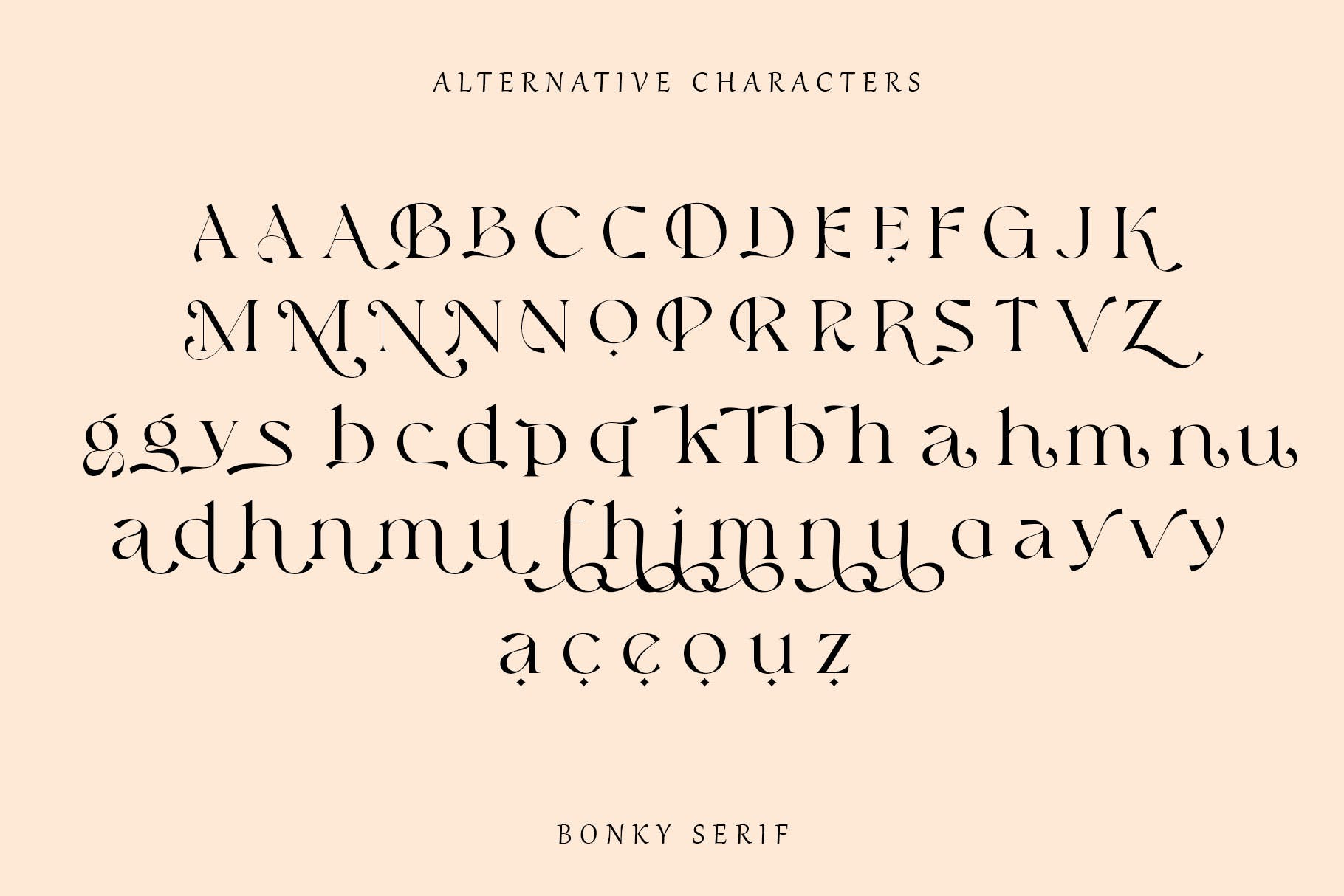 优雅品牌标题徽标logo设计衬线英文字体 Bonky serif_img_2