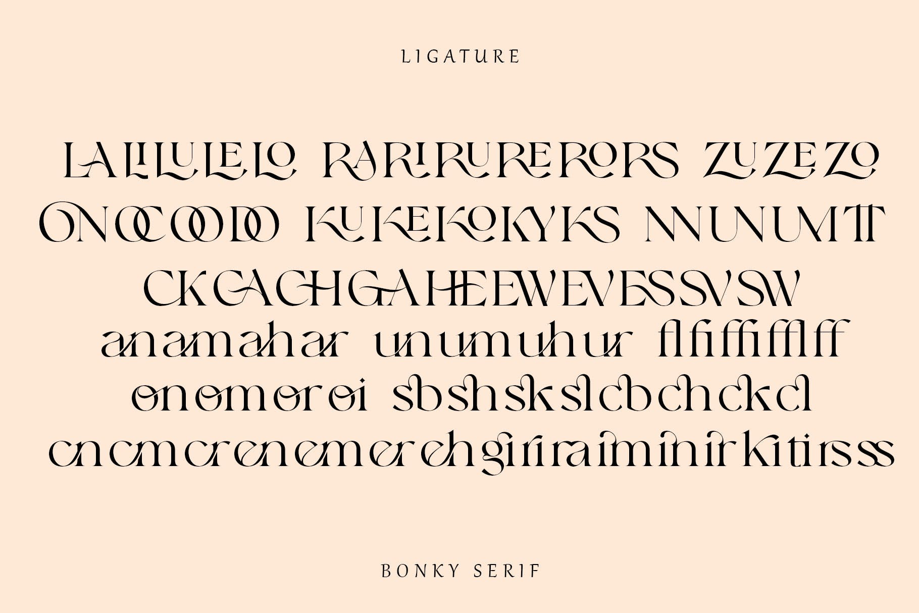 优雅品牌标题徽标logo设计衬线英文字体 Bonky serif_img_2