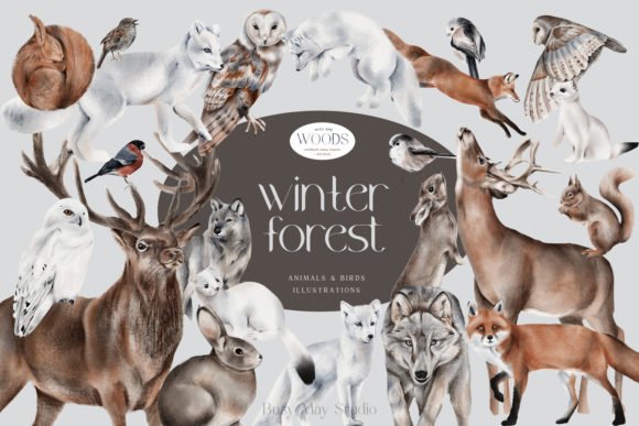 冬季圣诞节元素动物鸟类手绘剪贴画PNG免扣图片素材 Winter Forest Animals and Birds PNG_img_2