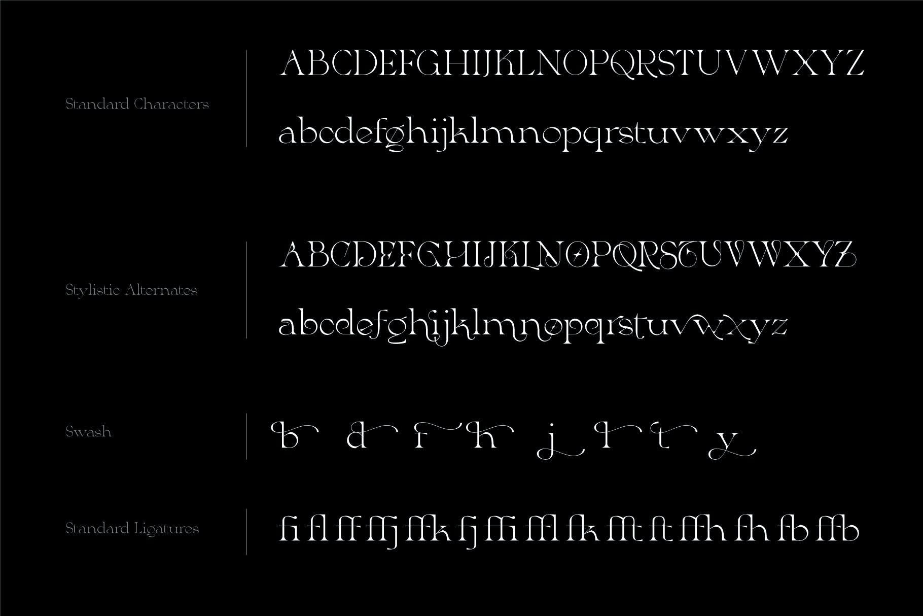 现代优雅品牌海报徽标logo设计衬线英文字体 Greca - Modern Serif Font_img_2