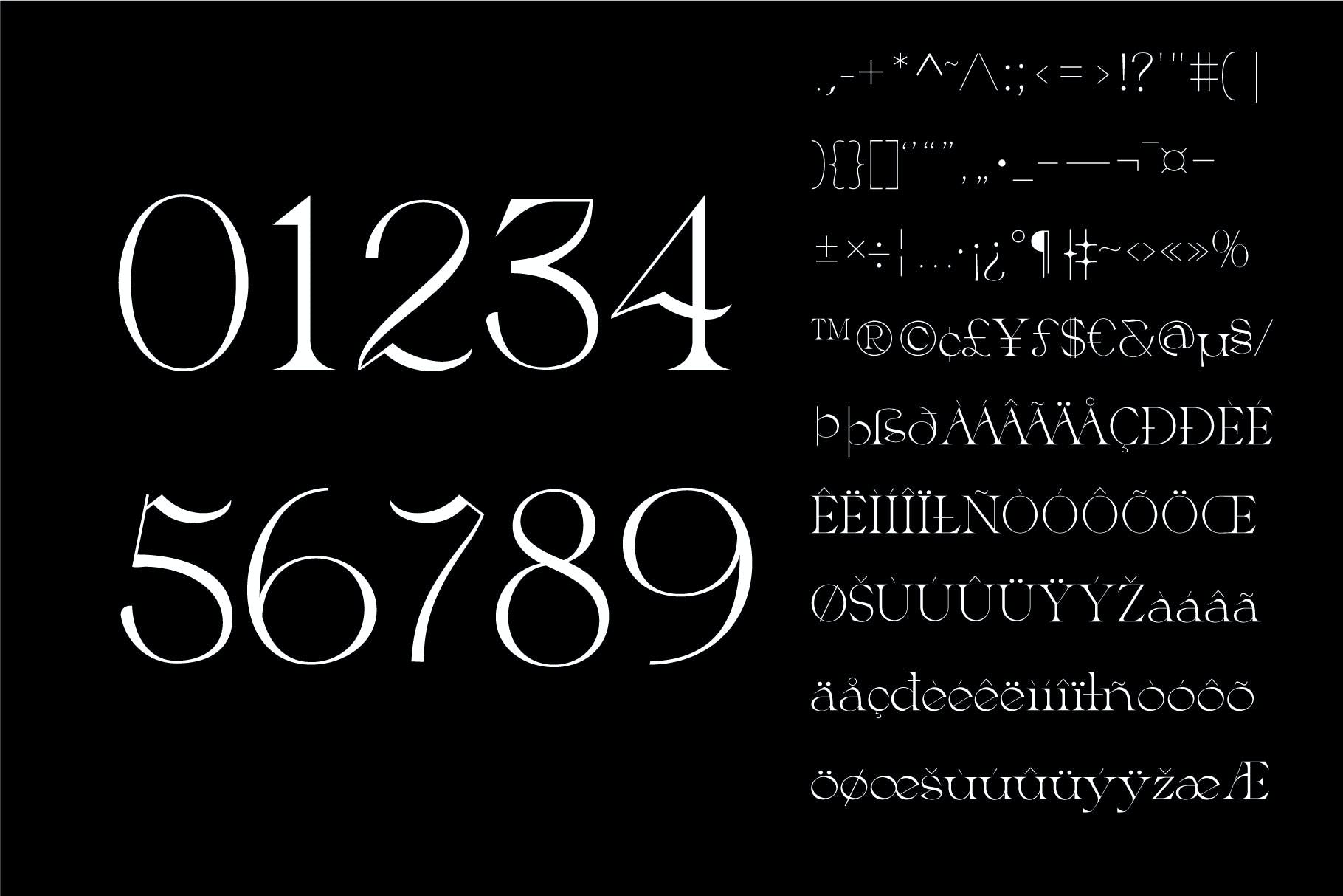 现代优雅品牌海报徽标logo设计衬线英文字体 Greca - Modern Serif Font_img_2