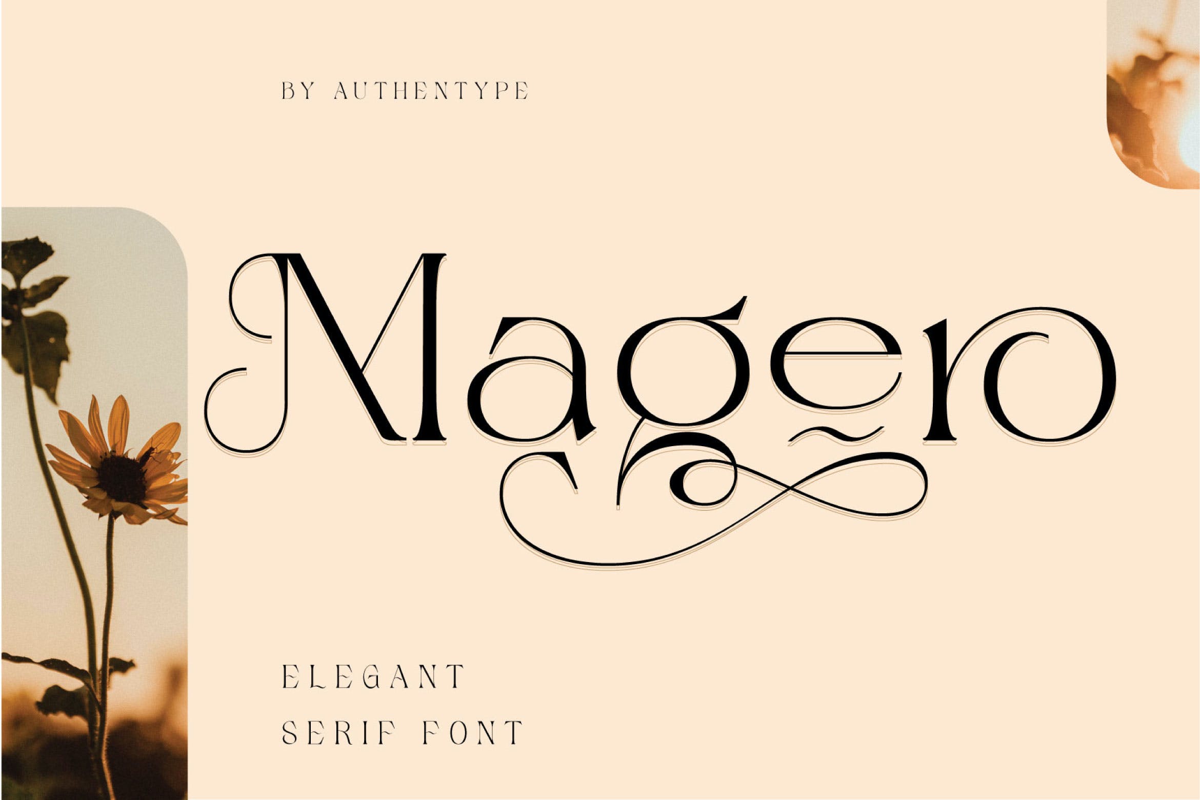 优雅海报标题徽标设计衬线英文字体 Magero Elegant Serif Font_img_2