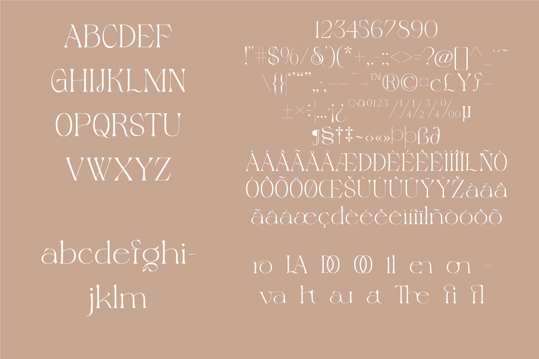 优雅海报标题徽标设计衬线英文字体 Magero Elegant Serif Font_img_2