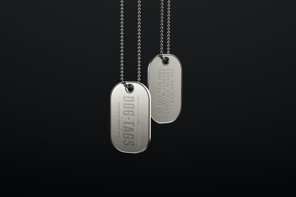 9款时尚金属宠物狗牌铭牌设计展示贴图PSD样机模板素材 Dog Tags Mockup_img_2