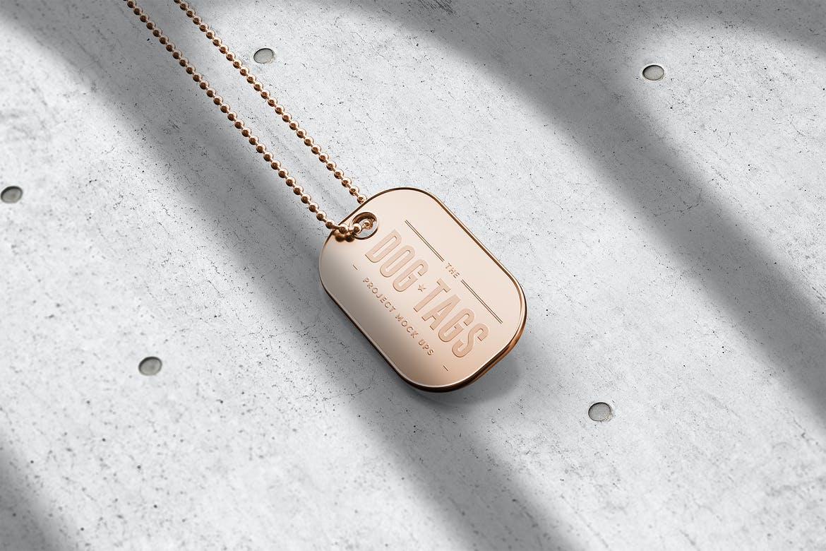 9款时尚金属宠物狗牌铭牌设计展示贴图PSD样机模板素材 Dog Tags Mockup_img_2