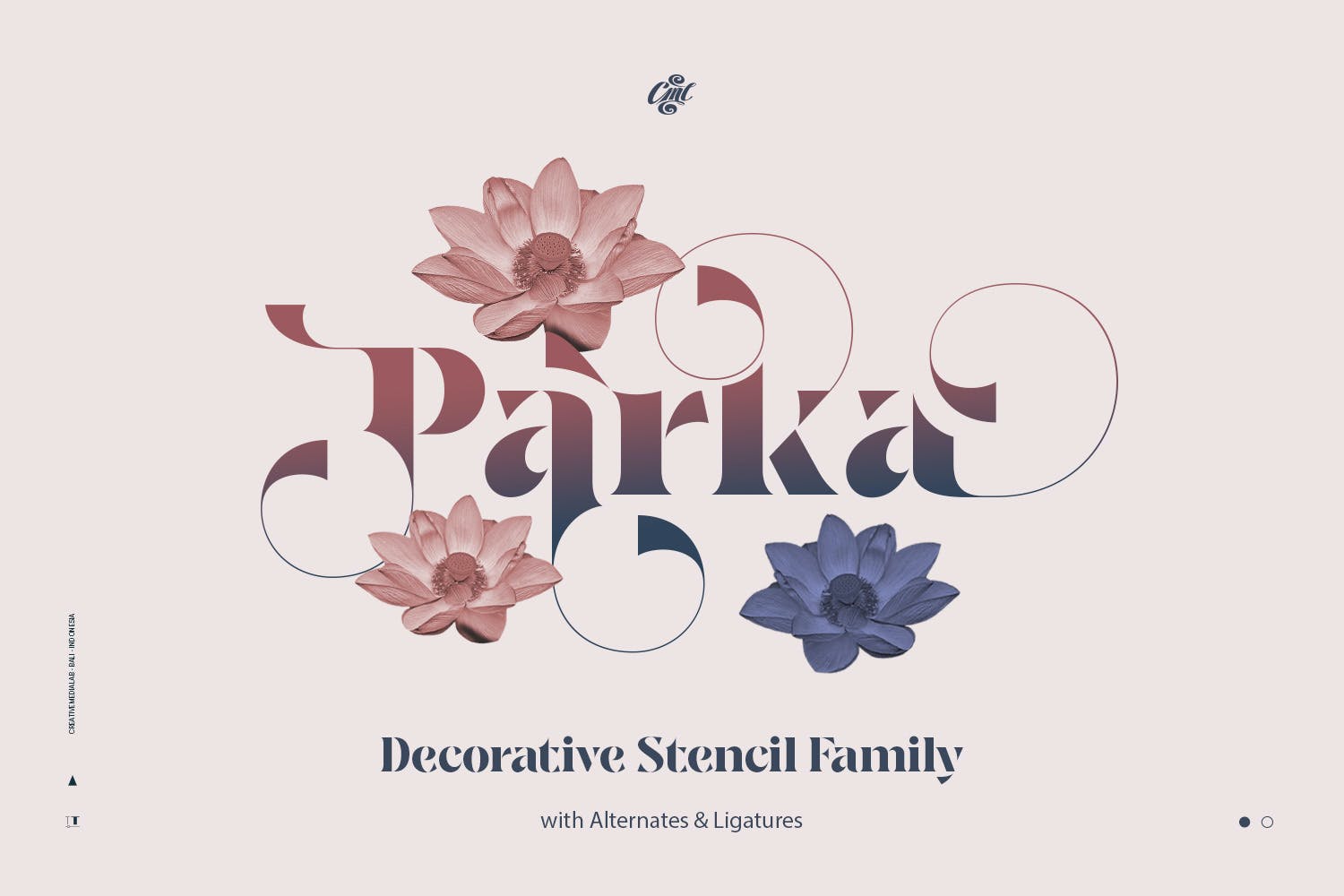 现代品牌标识包装设计衬线英文字体 Parka - Decorative Stencil Family_img_2