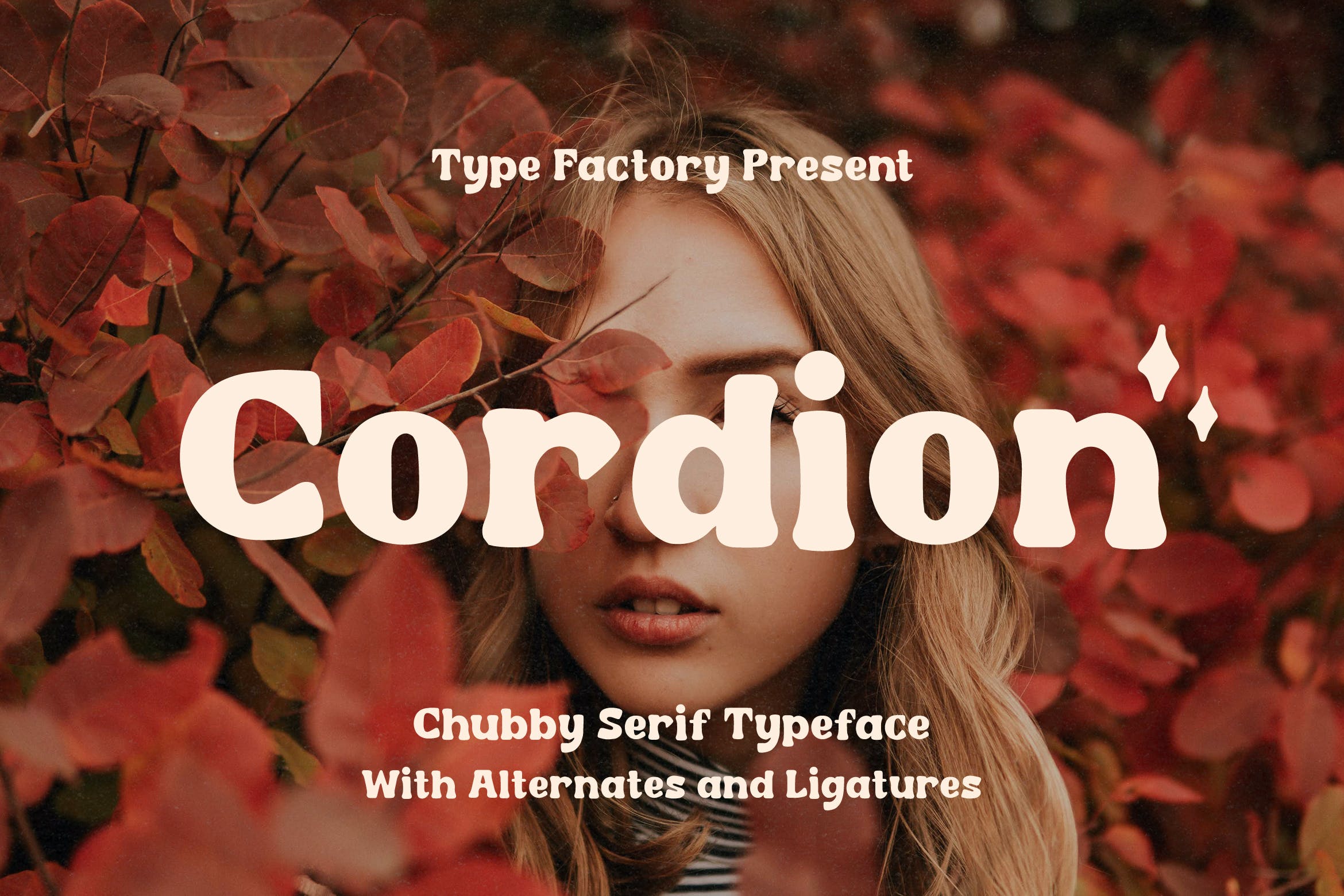 复古优雅杂志标题品牌设计衬线英文字体 Cordion - Chubby Serif Typeface_img_2