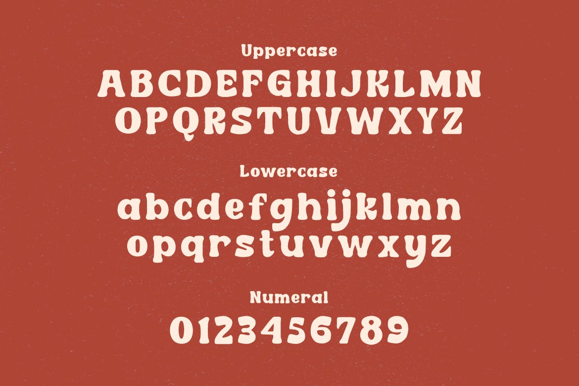 复古优雅杂志标题品牌设计衬线英文字体 Cordion - Chubby Serif Typeface_img_2