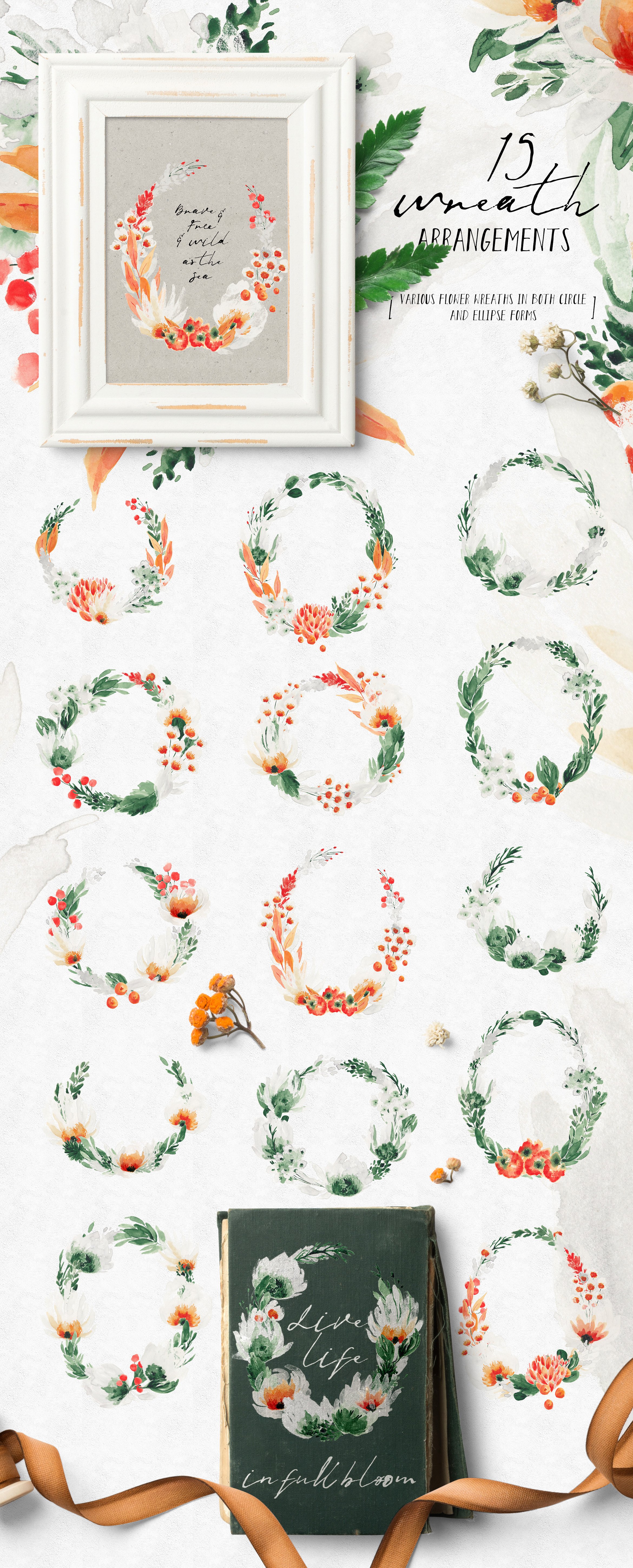 夏季野花花束树叶框架大写字母水彩背景PNG透明图片设计素材 Summer Wildflowers Illustration Pack_img_2