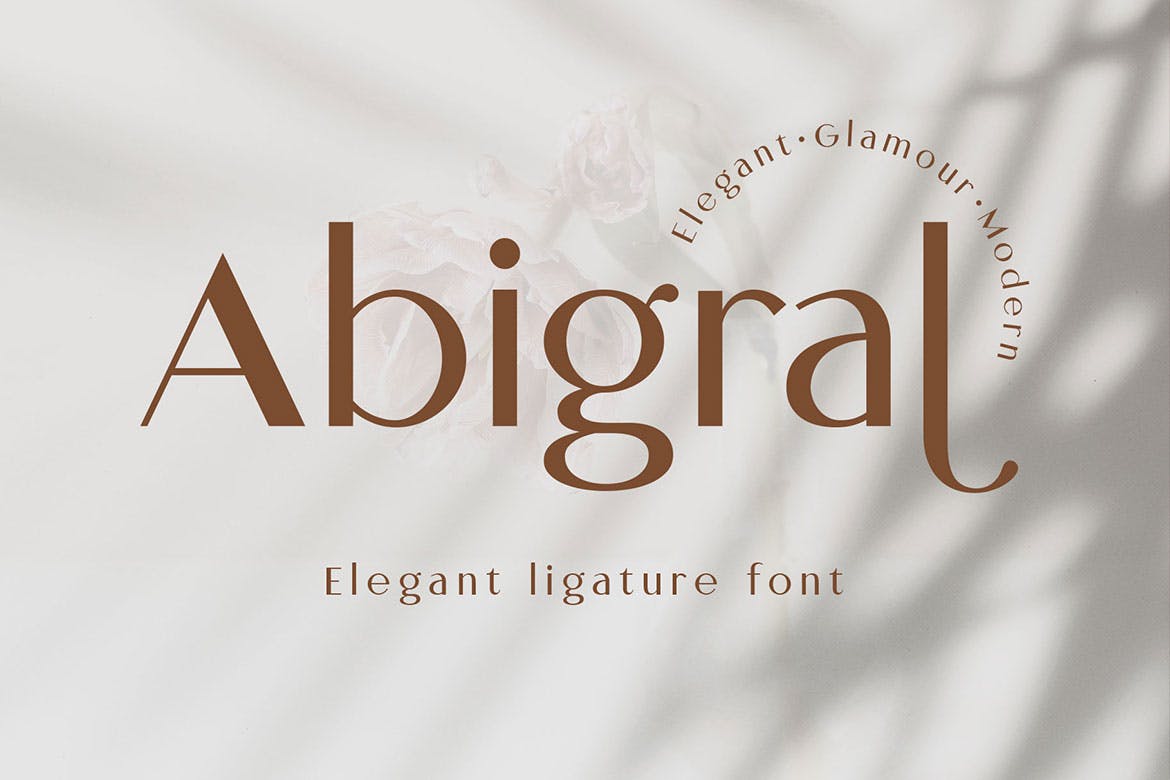 时尚优雅杂志标题徽标logo设计无衬线英文字体 Abigral - Minimal Sans_img_2