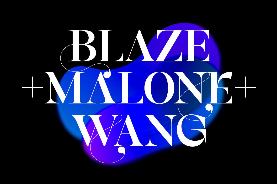 优雅杂志海报徽标logo设计衬线英文字体 Astonia Typeface_img_2