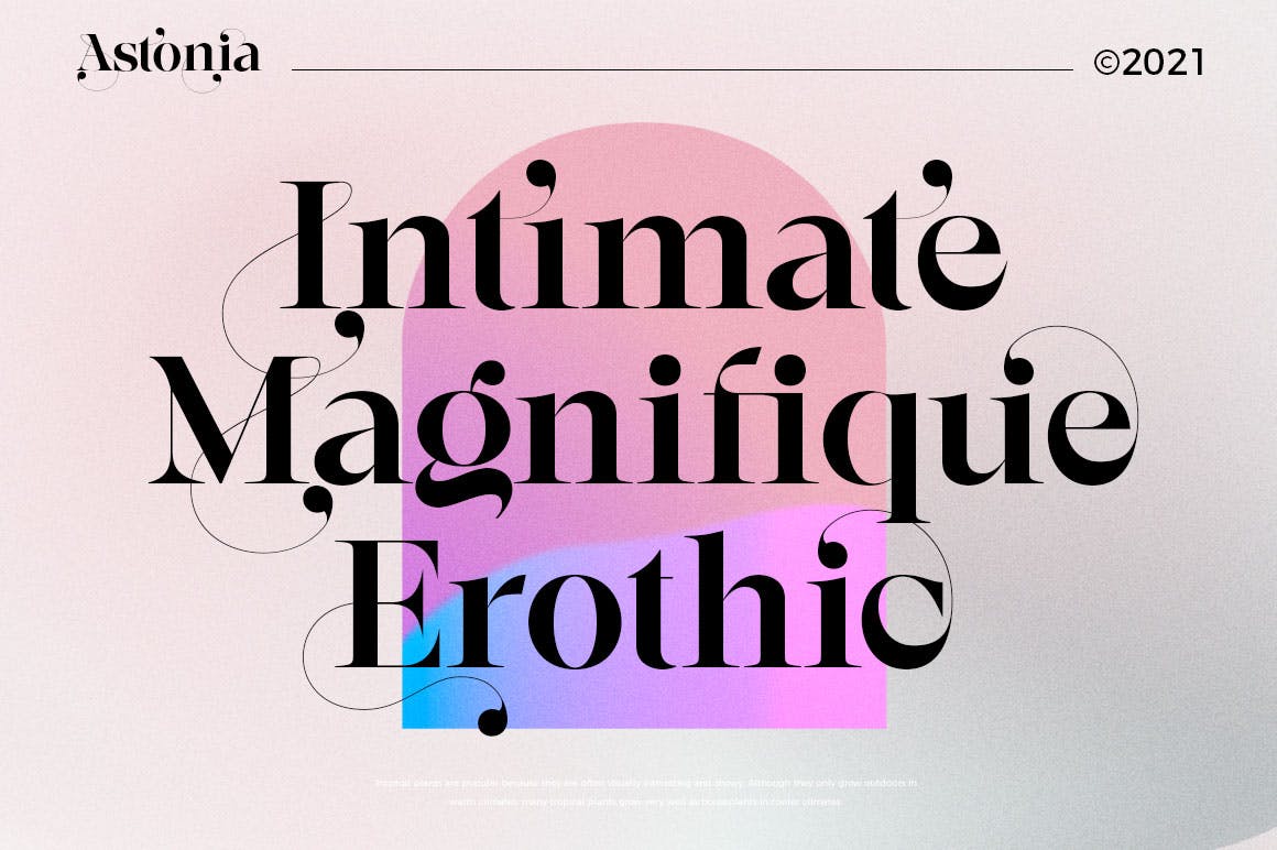 优雅杂志海报徽标logo设计衬线英文字体 Astonia Typeface_img_2