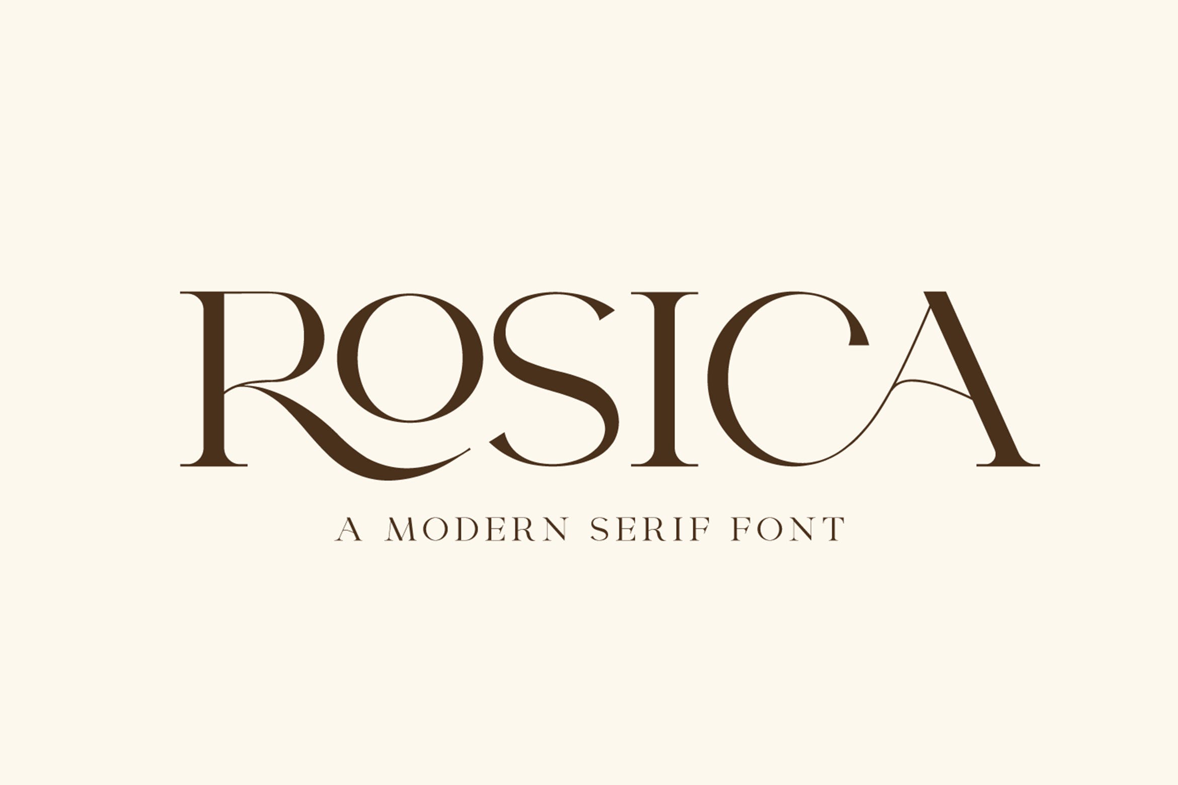 时尚杂志标签标识设计衬线英文字体 Rosica - Business Font_img_2