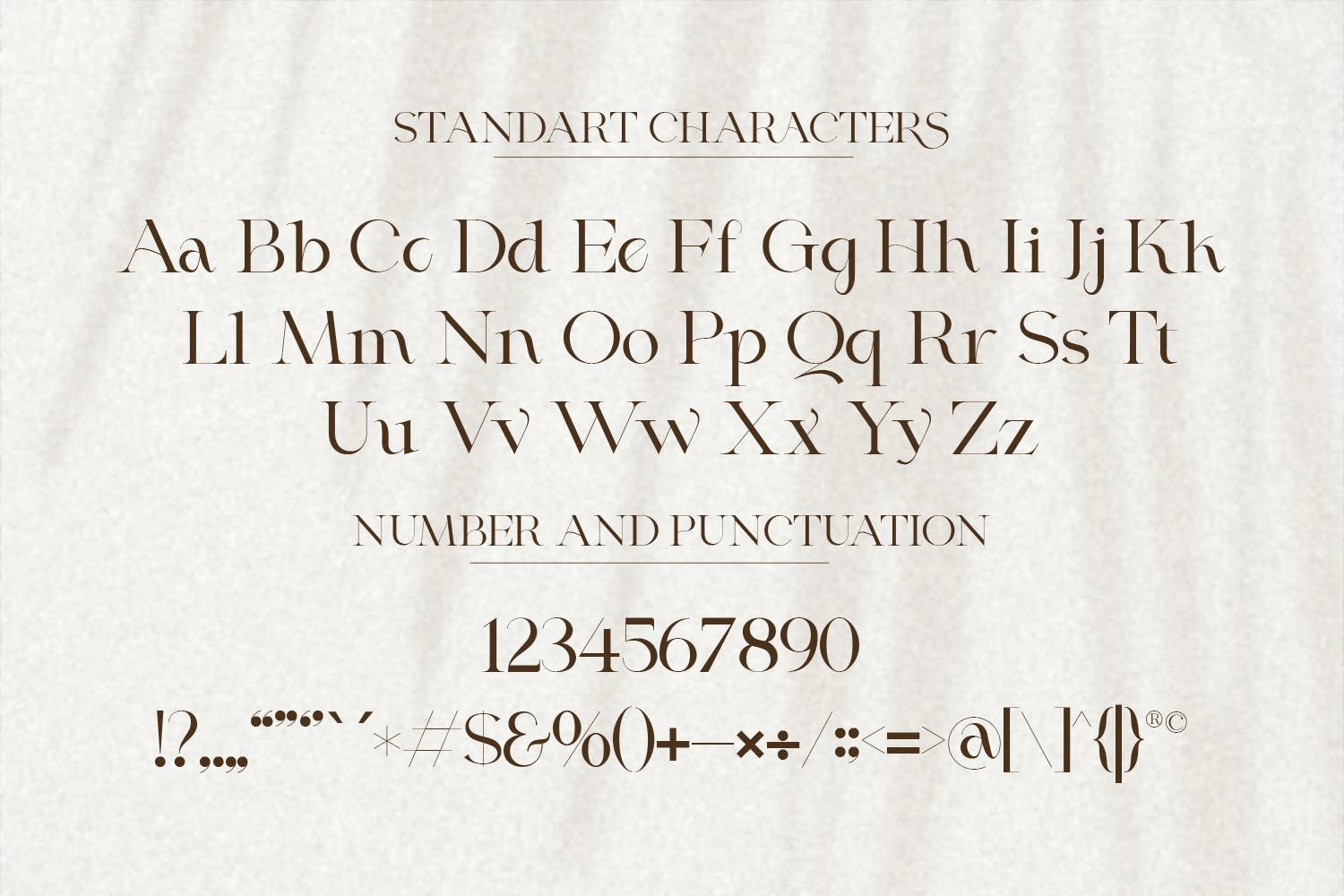 时尚杂志标签标识设计衬线英文字体 Rosica - Business Font_img_2