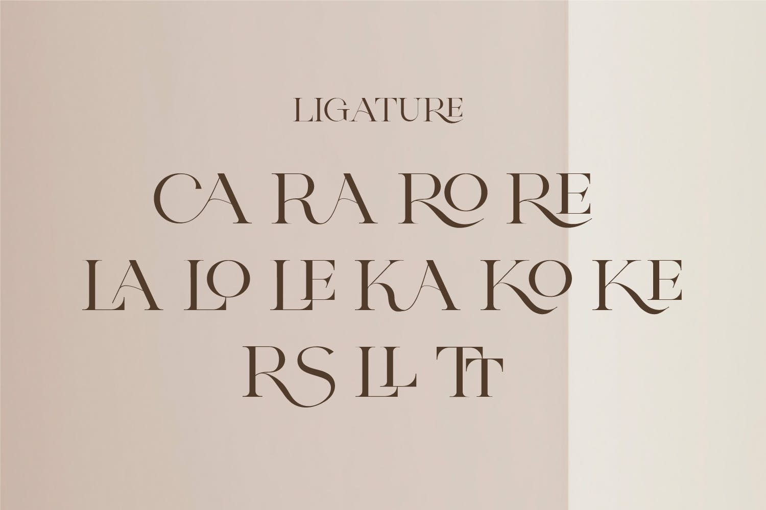 时尚杂志标签标识设计衬线英文字体 Rosica - Business Font_img_2