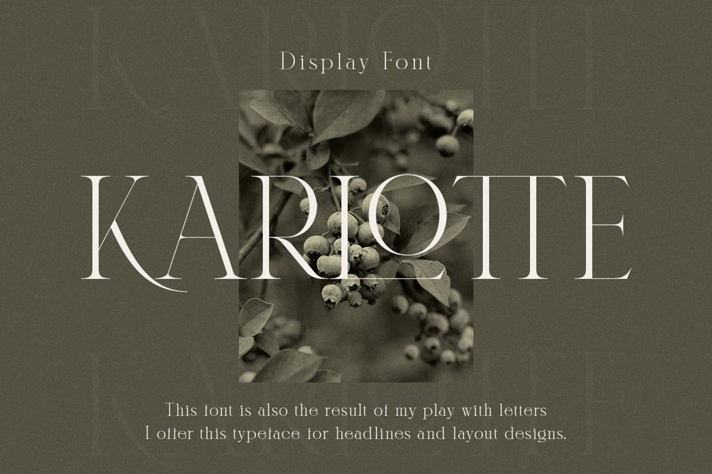 优雅杂志海报徽标logo设计衬线英文字体 Karlotte - Elegant Serif Font_img_2