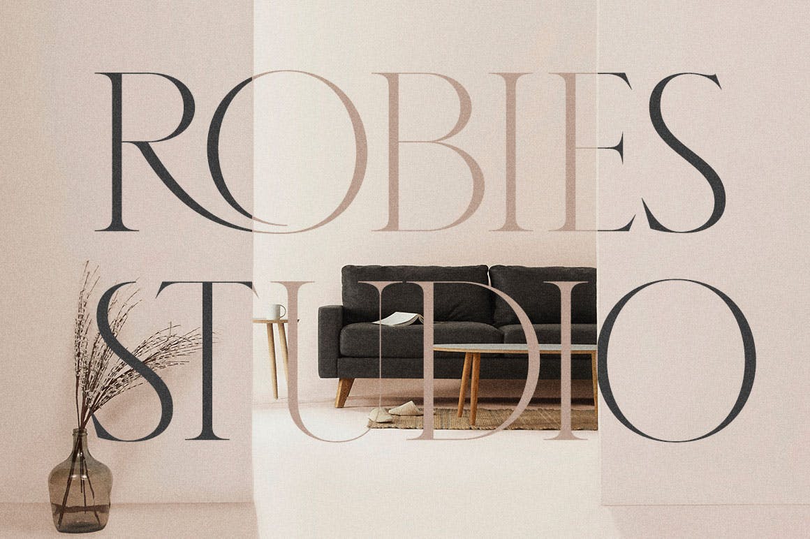 优雅杂志海报徽标logo设计衬线英文字体 Karlotte - Elegant Serif Font_img_2