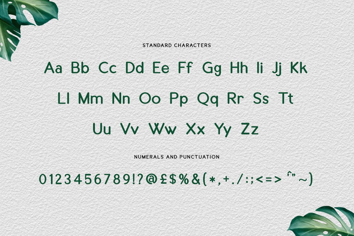 现代杂志品牌标题设计无衬线英文字体 Bastavar - Modern Advertisement Font_img_2