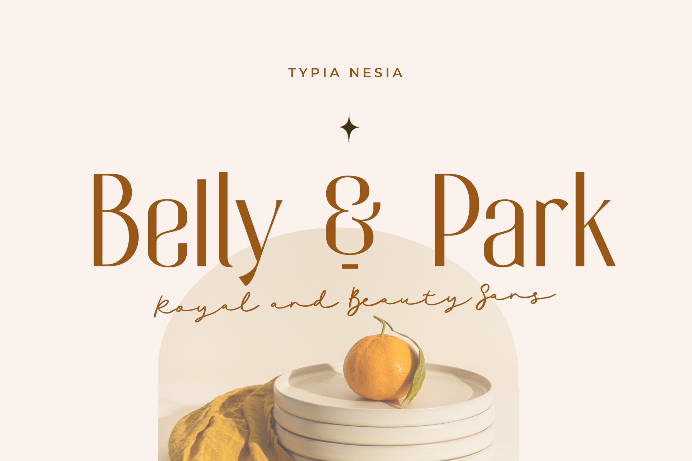 时尚优雅杂志品牌标题设计无衬线英文字体 Belly and Park - Condensed Beauty Classic Sans_img_2