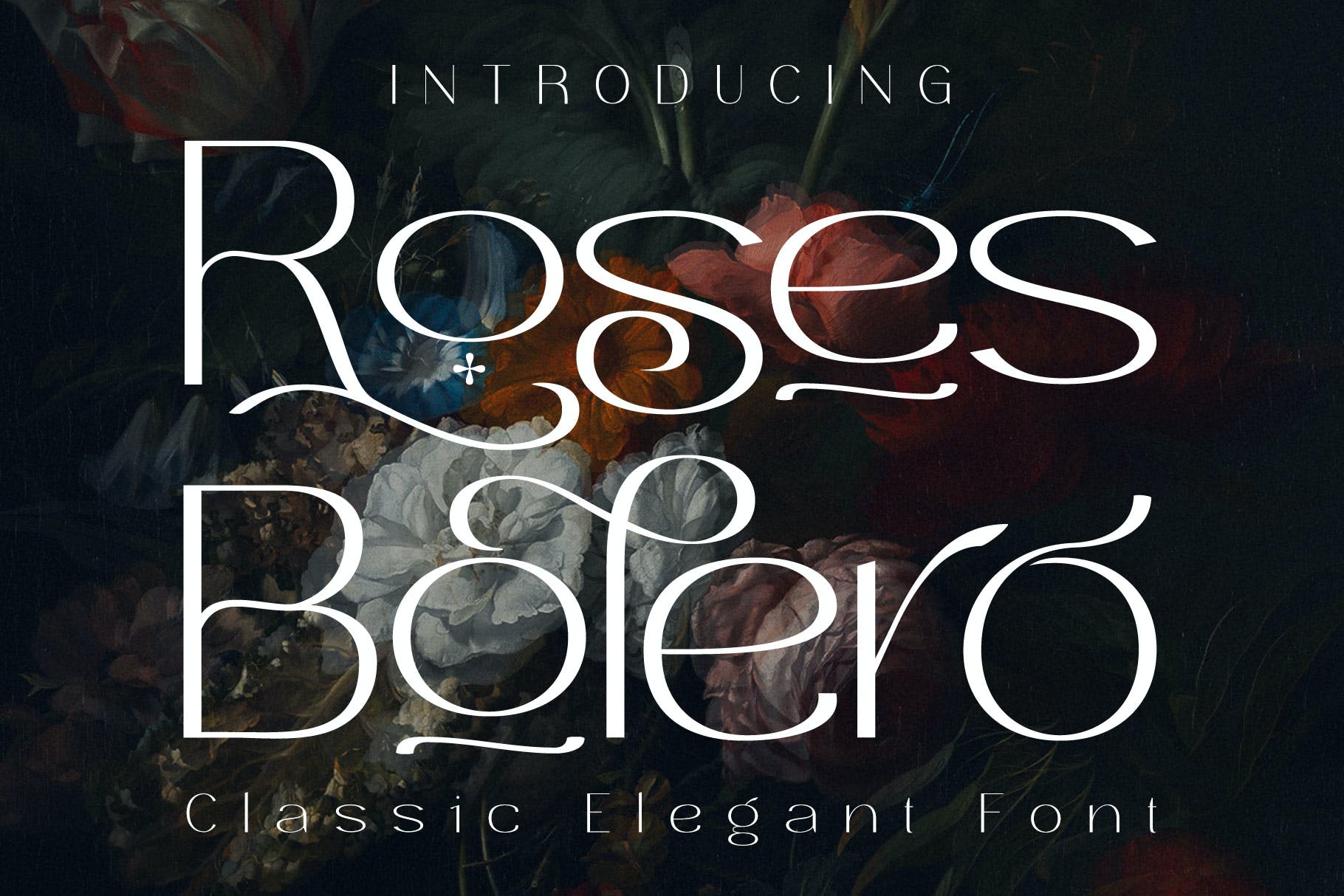 复古奢华杂志海报品牌设计无衬线英文字体 Roses Bolero Elegant Sans Serif_img_2