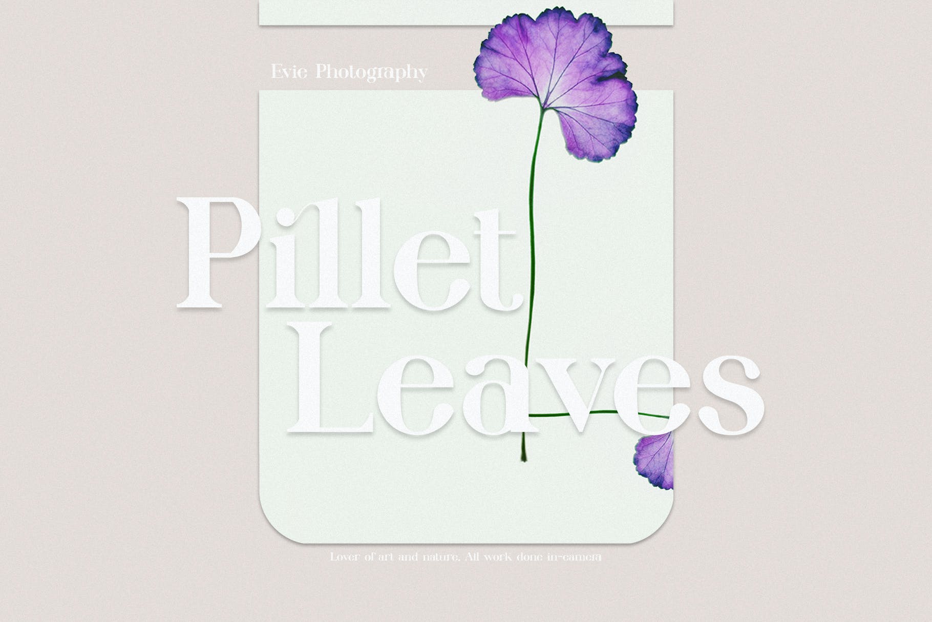 优雅杂志媒体徽标logo设计衬线英文字体 Kollera Elegant Ligauture Serif_img_2