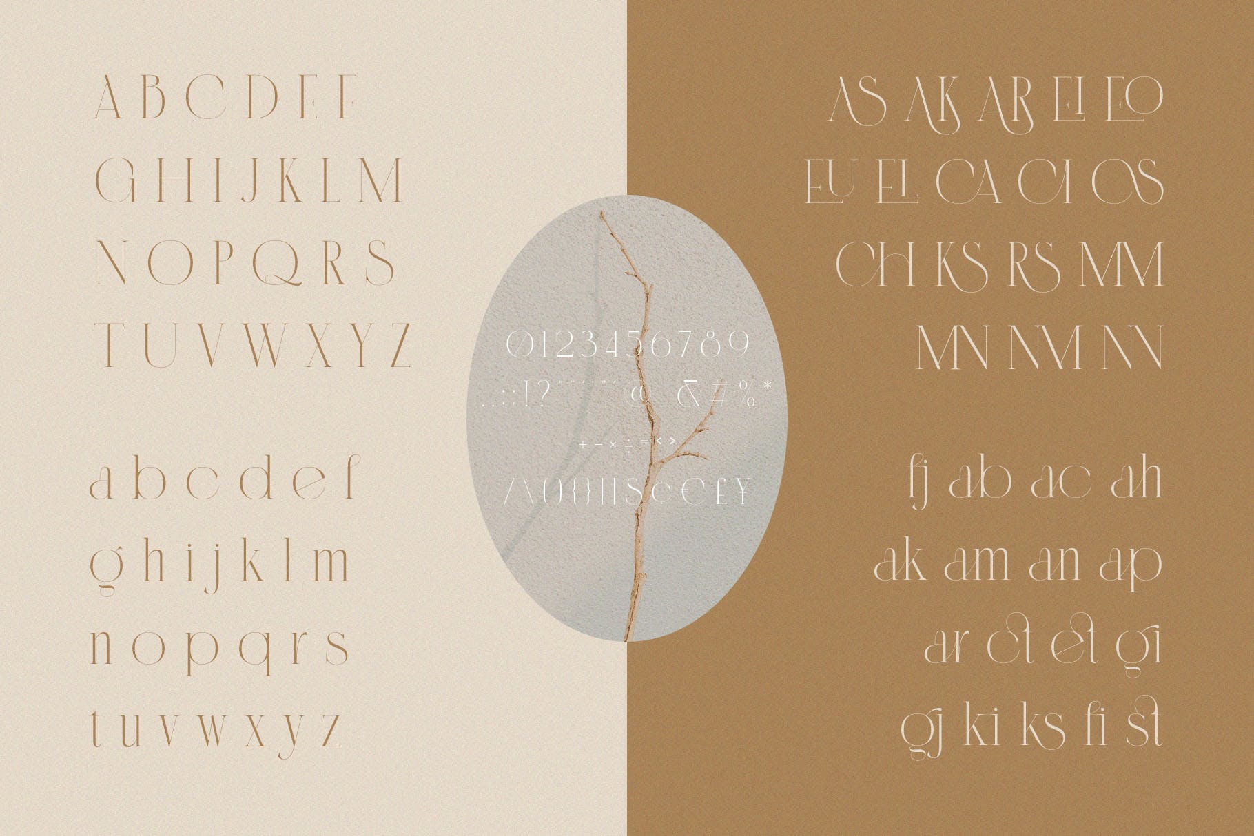 时尚优雅品牌邀请函徽标logo设计衬线英文字体 Cannia - Ligature Typeface_img_2