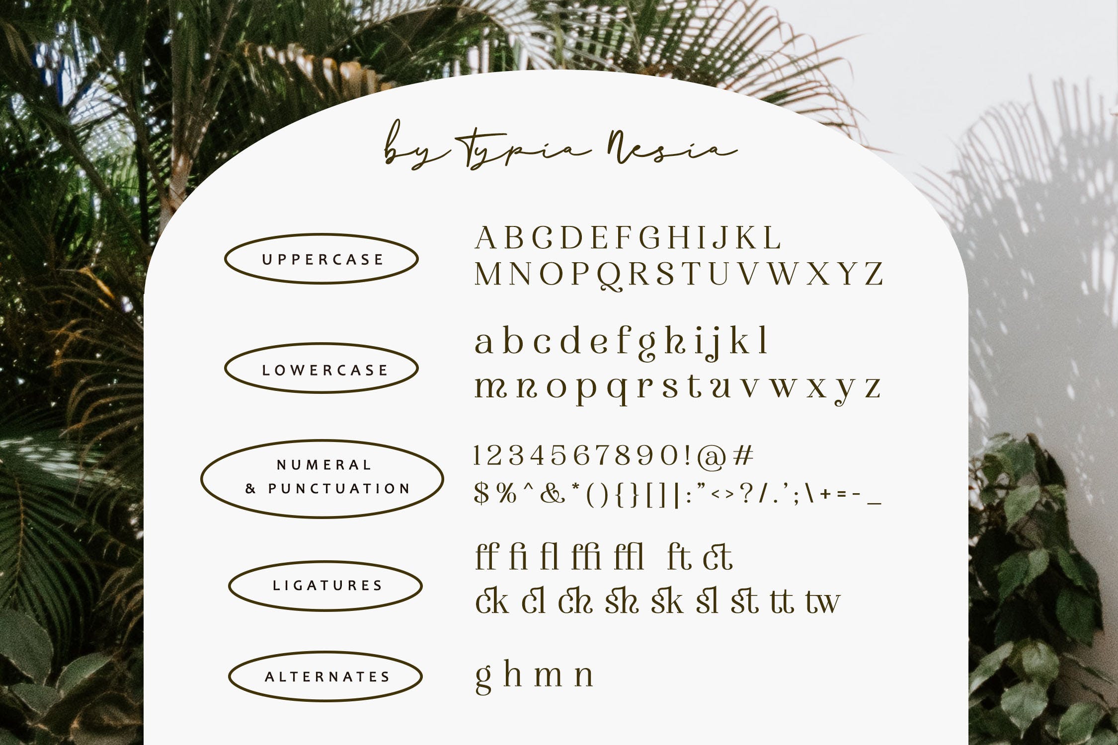 时尚优雅杂志品牌标题设计衬线英文字体 The Penguin - Beauty Fancy Classic Serif_img_2