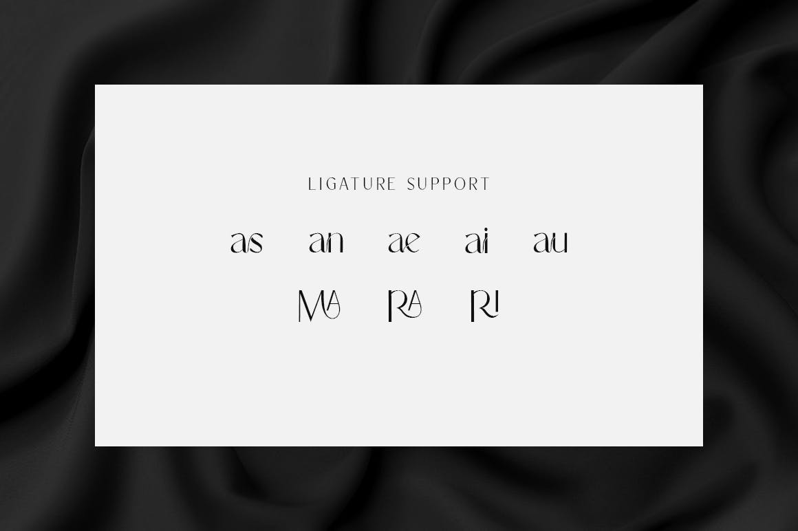优雅杂志标识品牌设计无衬线英文字体 Histories - Business Font_img_2