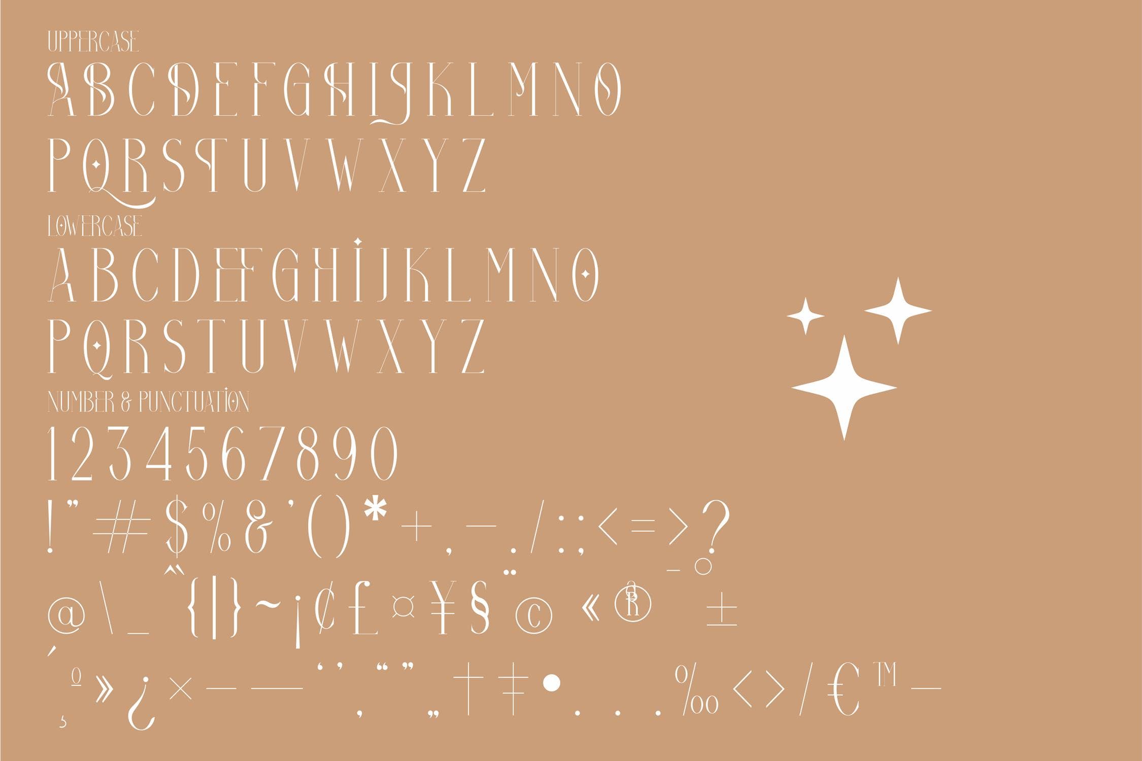 现代优雅海报品牌项目设计衬线英文字体 Bolinger Minimalist Serif Font LS_img_2