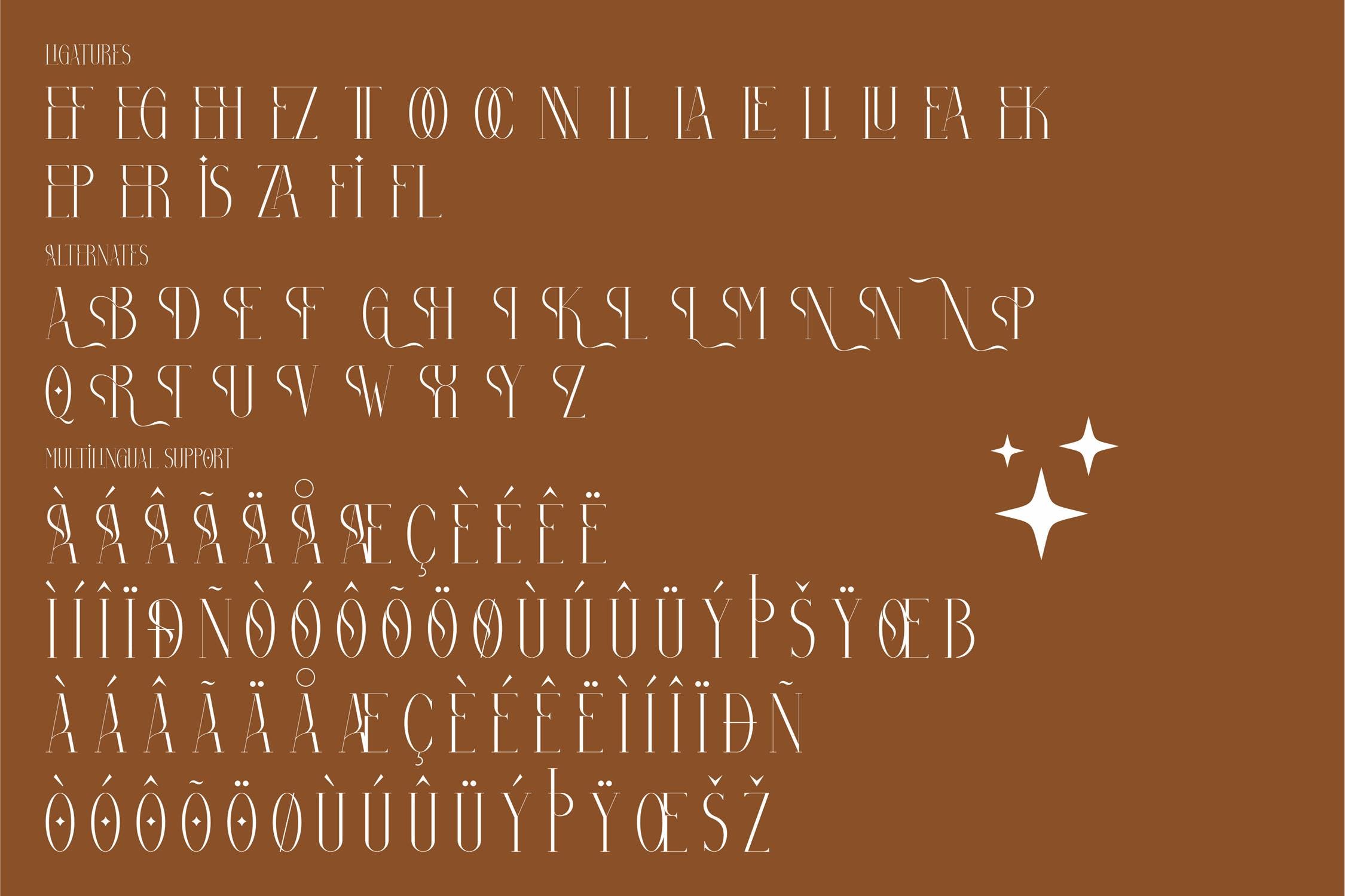 现代优雅海报品牌项目设计衬线英文字体 Bolinger Minimalist Serif Font LS_img_2