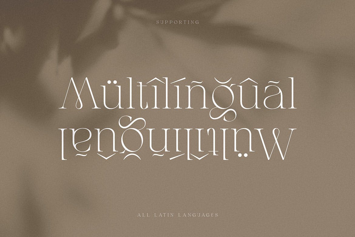 经典优雅标题徽标Logo设计衬线英文字体安装包 Gatlinburg - Modern Serif Font_img_2